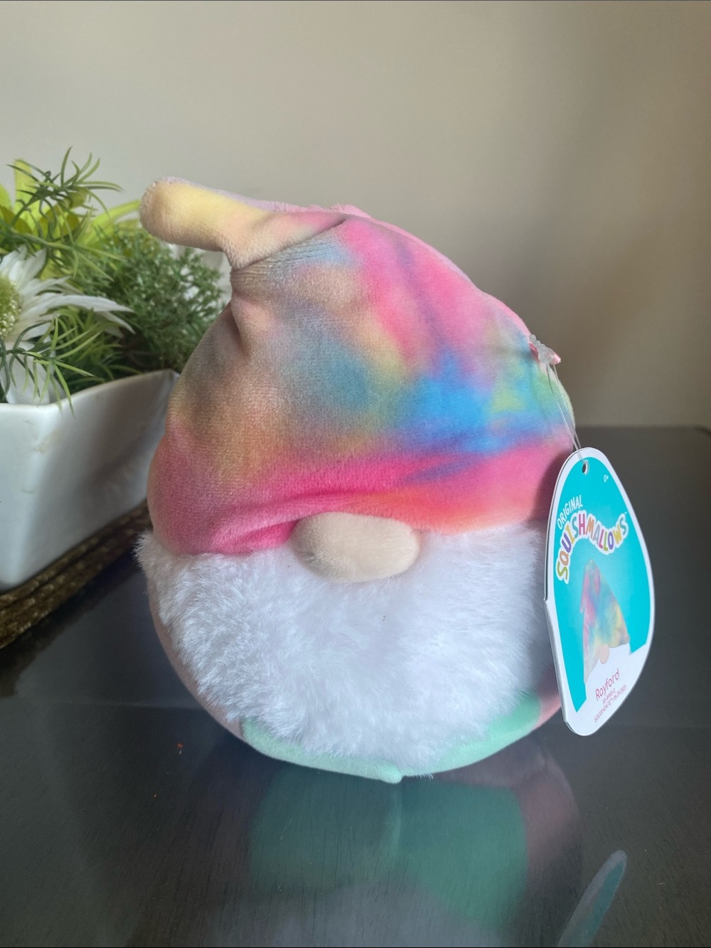 New🌈 Squishmallows Gnome Raymond plush